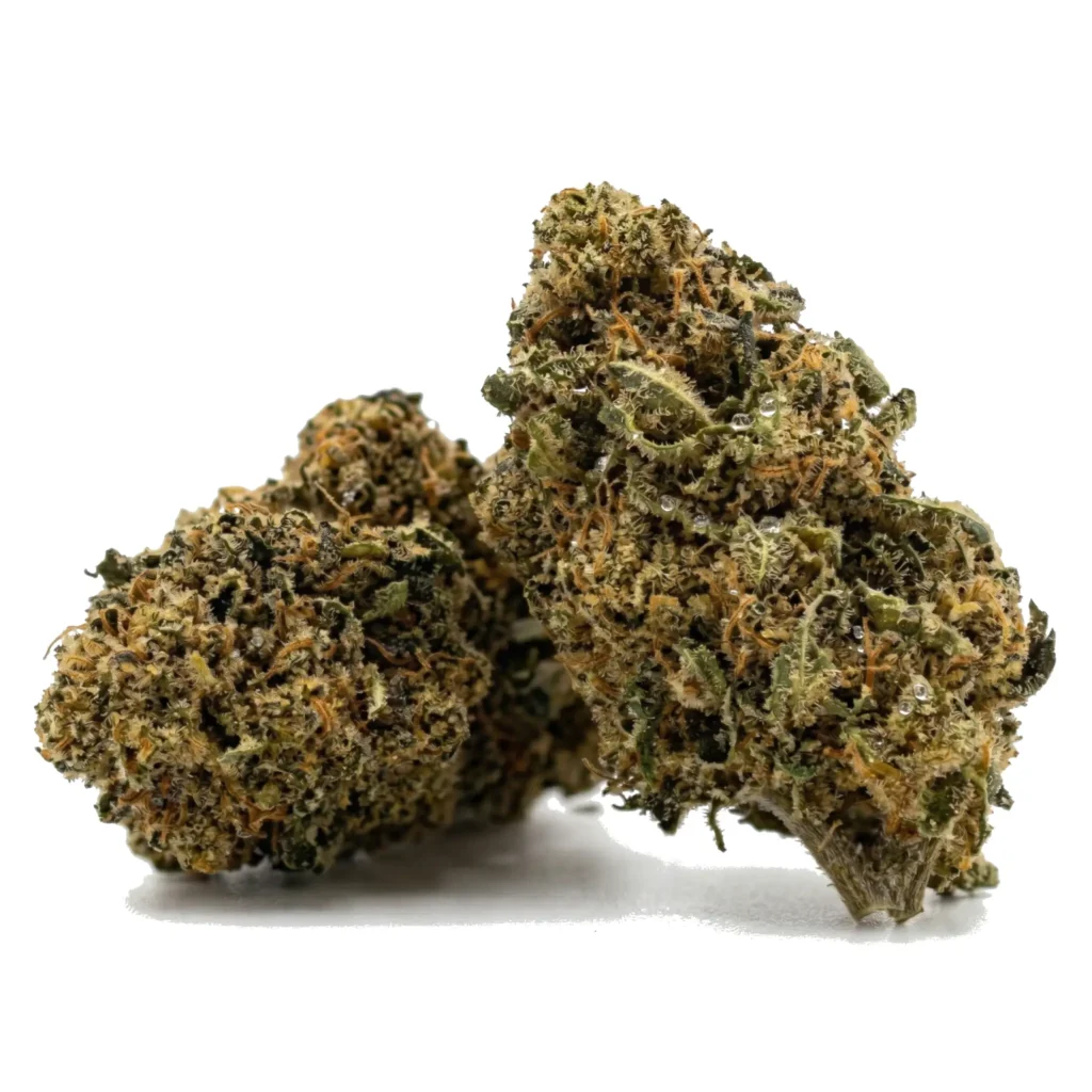 flor-cbd-Scarlet-Haze-greennapcbd