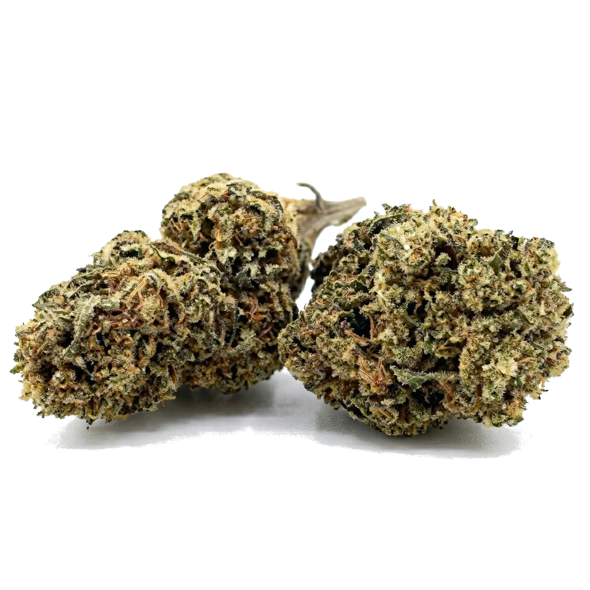 flor-cbd-master_kush-greennapcbd