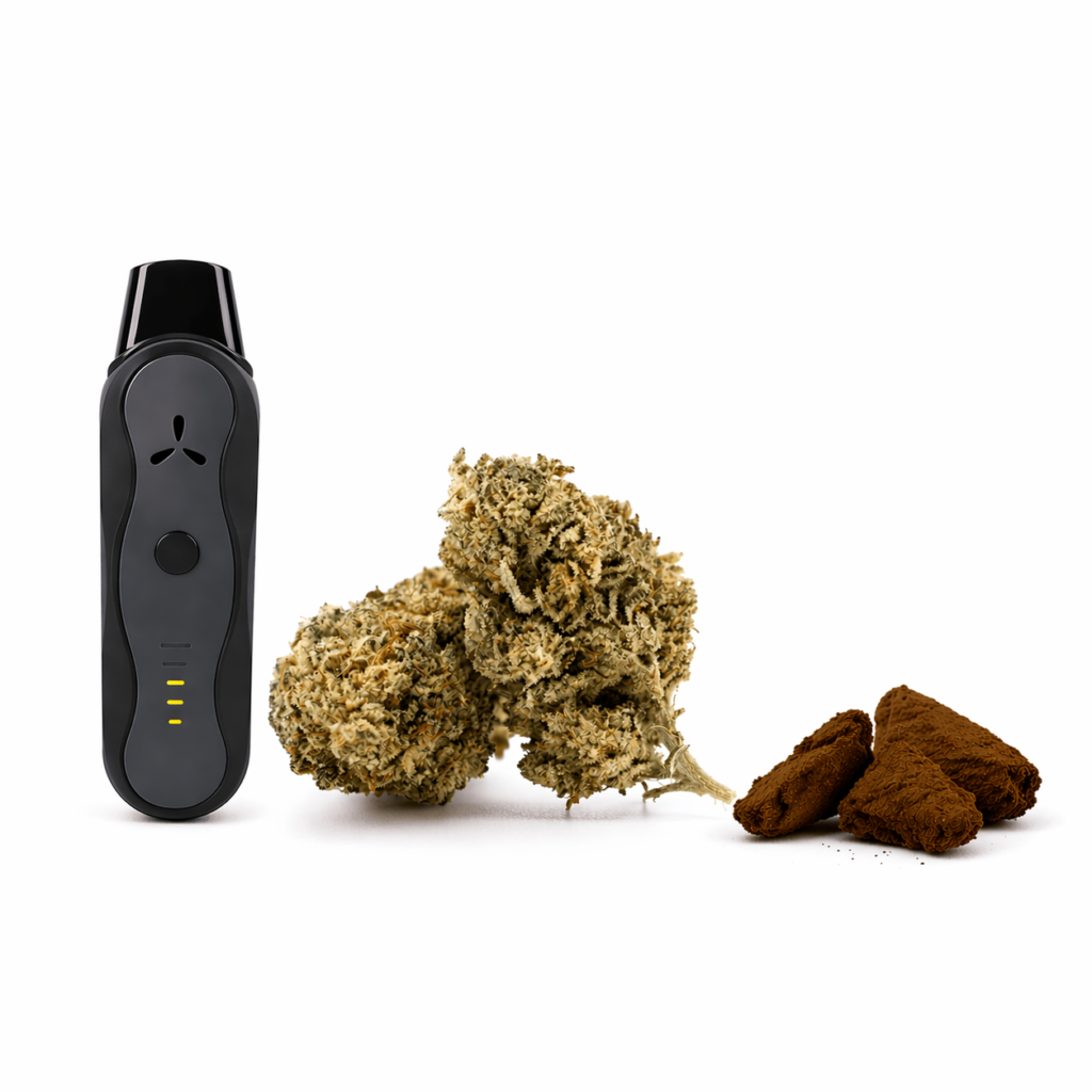 Starter Kit CBD AirVape con vaporizador, flor CBD y hash CBD
